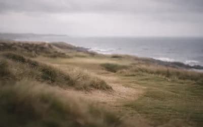 Scottish Links theme preview